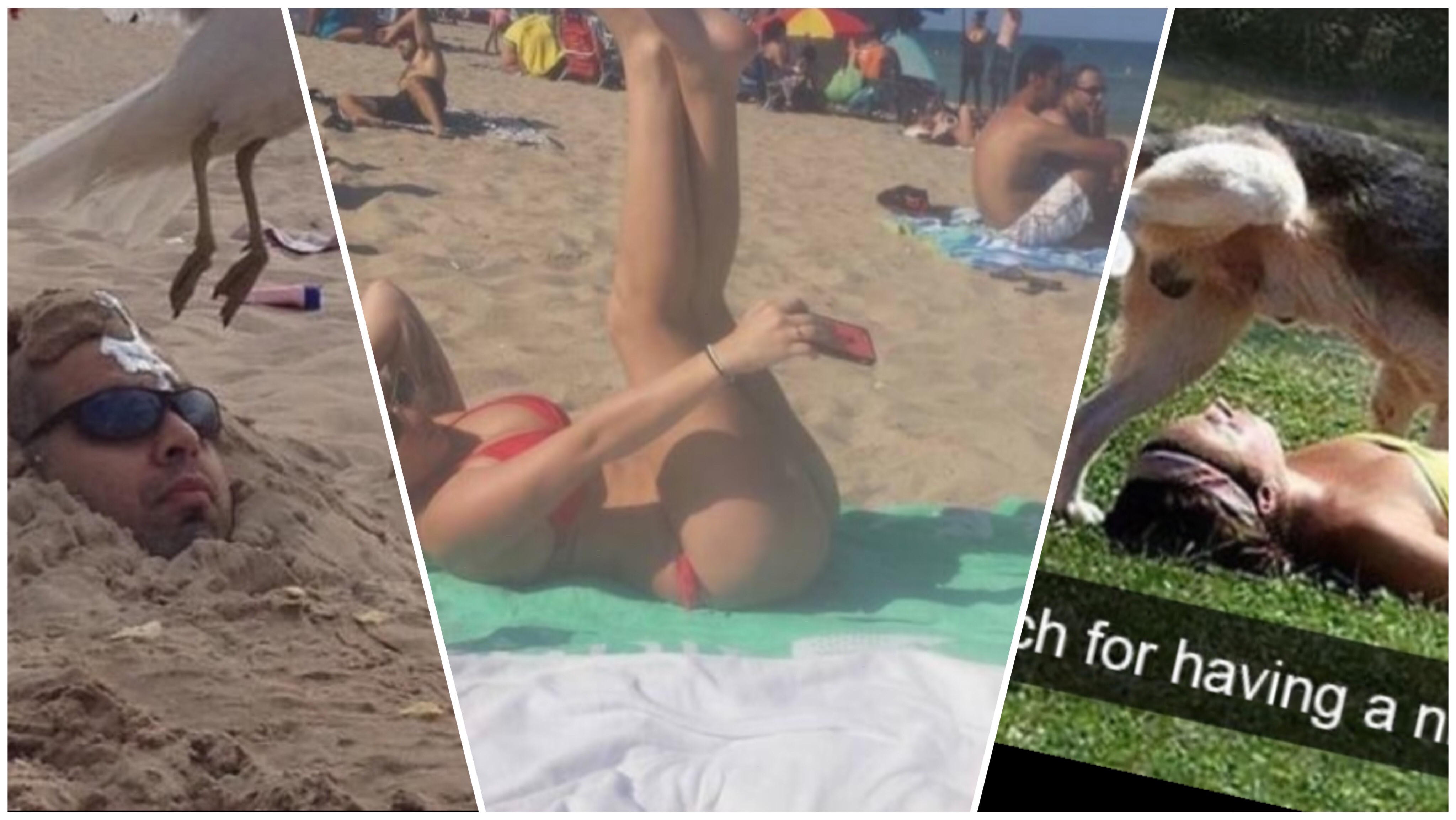 15 People Who Had A More terrible Summer Than You