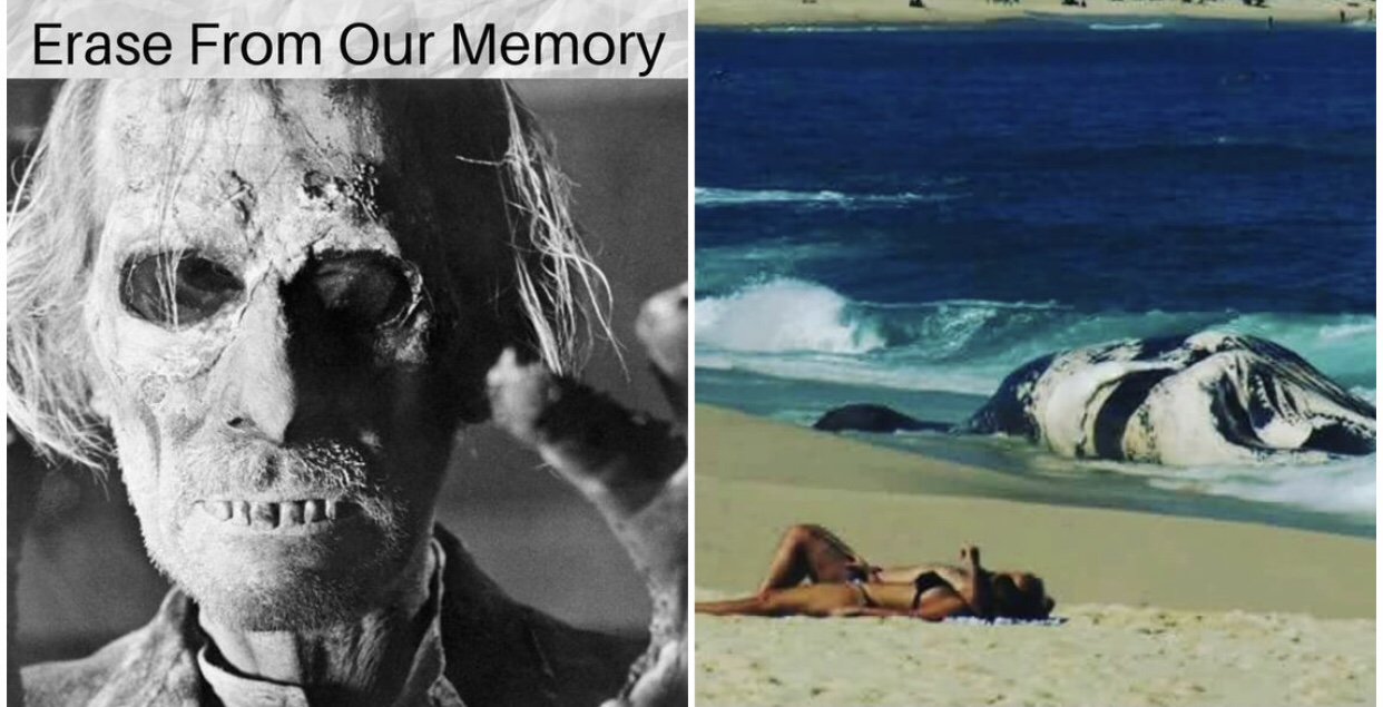 Upsetting And Creepy Facts We Wish We Could Erase From Our Memory